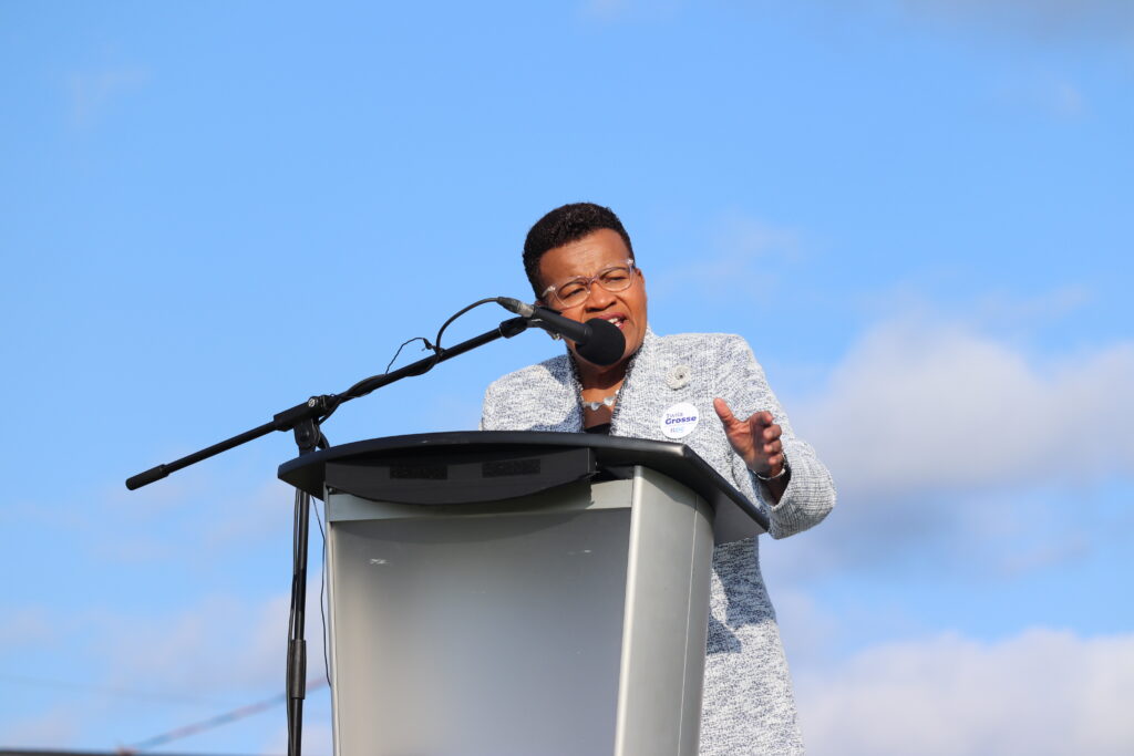 Twila Grosse during her announced that she's running for the PCs in the upcoming Preston byelection. Photo: Matthew Byard